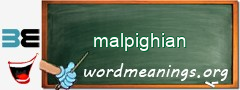 WordMeaning blackboard for malpighian